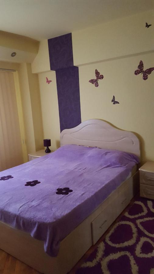 Apartament Cu 2 Camere Spatioase In Centrul Orasului - Andrei Βραΐλα Εξωτερικό φωτογραφία
